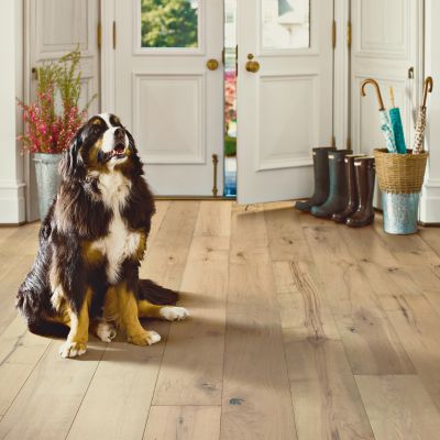 light maple hardwood floors in an entryway with dog
